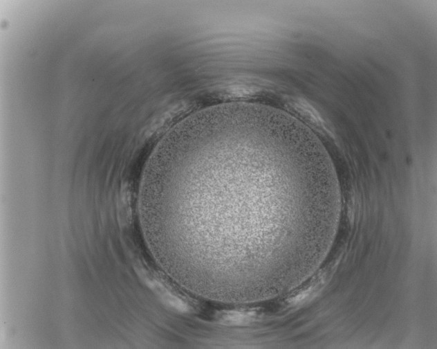 X0000062170366200512121246