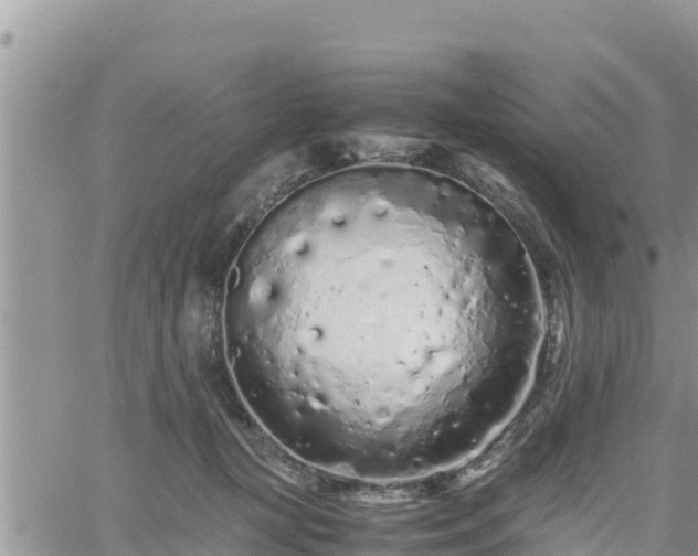 X0000062170367200512121246