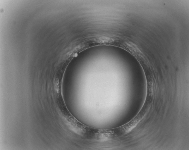 X0000062170368200512121246