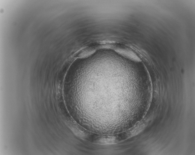 X0000062170369200512121246