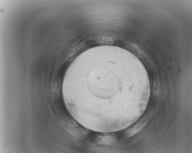 X0000062170370200512121246