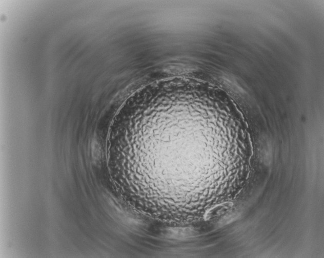 X0000062170371200512121246