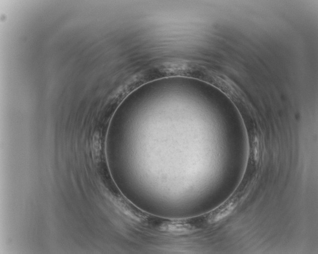 X0000062170372200512121246