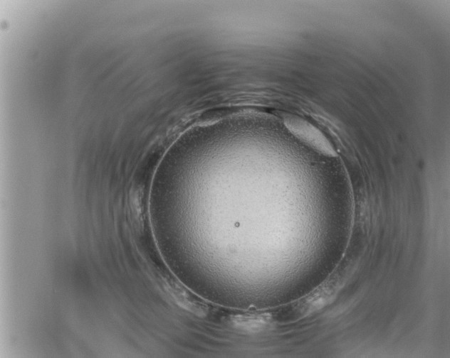 X0000062170373200512121246