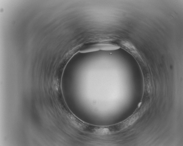 X0000062170374200512121246