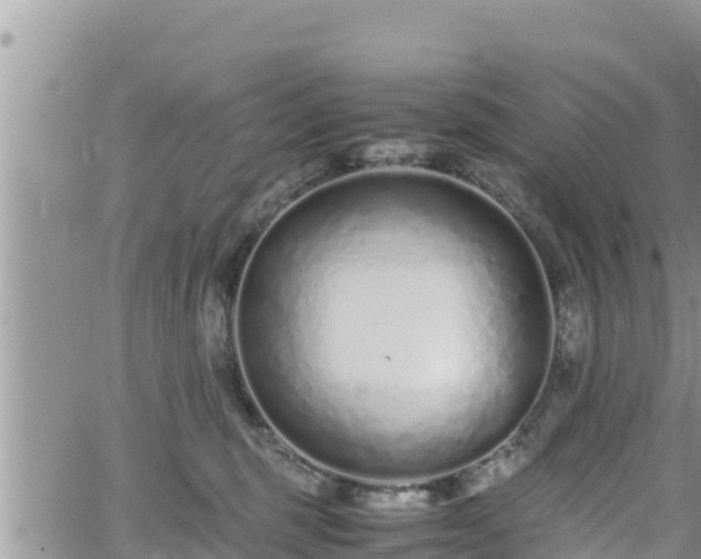 X0000062170375200512121246