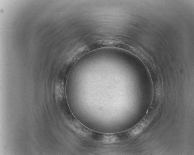 X0000062170376200512121246