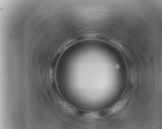 X0000062170378200512121246