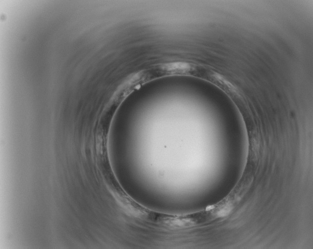 X0000062170379200512121246