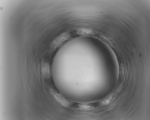 X0000062170380200512121247