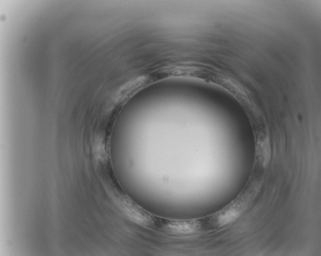 X0000062170381200512121247