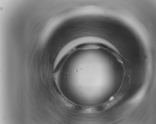 X0000062170382200512121247