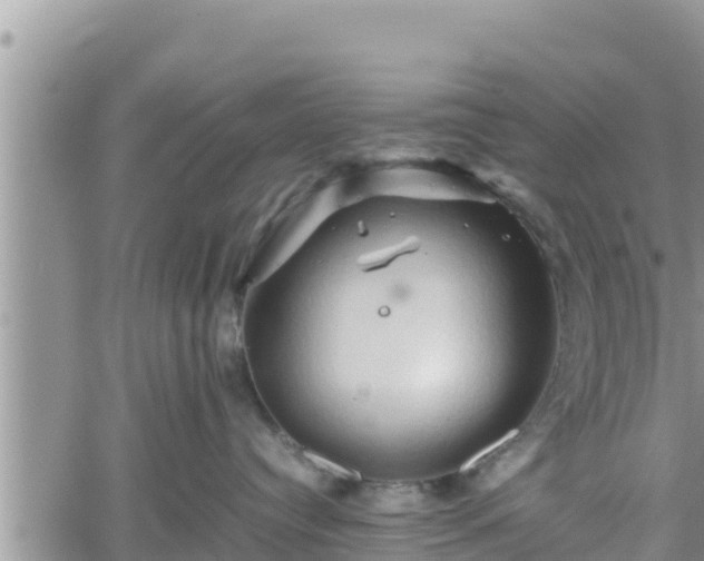 X0000062170384200512121247