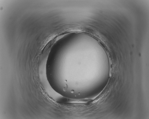 X0000062170385200512121246