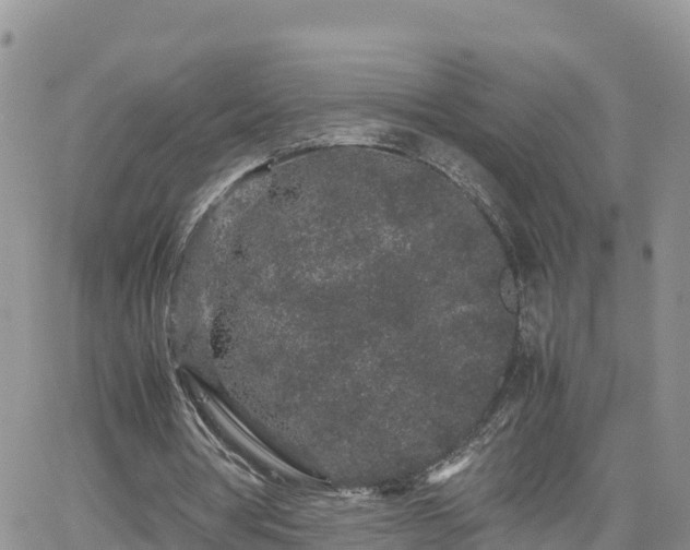 X0000062170386200512121246