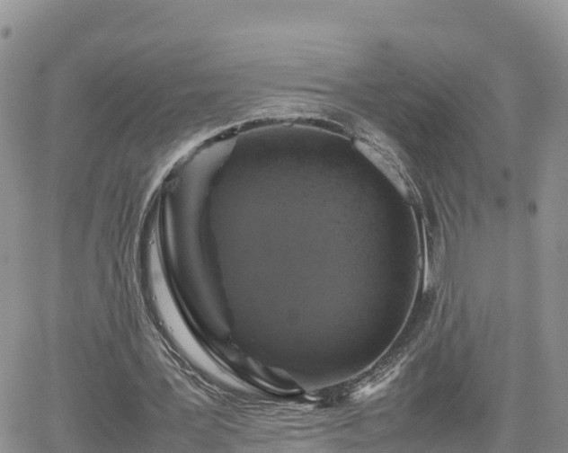 X0000062170387200512121246