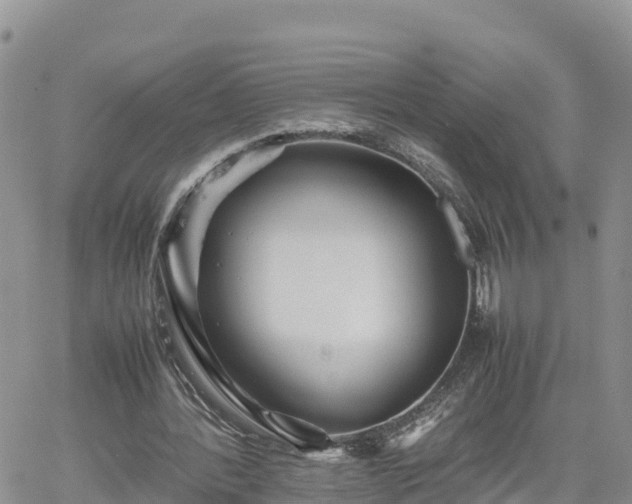 X0000062170388200512121246