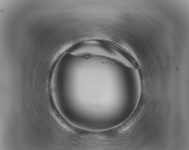 X0000062170389200512121246