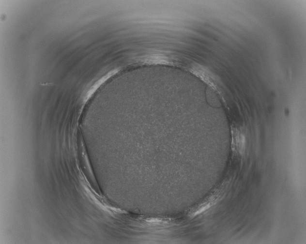 X0000062170390200512121246