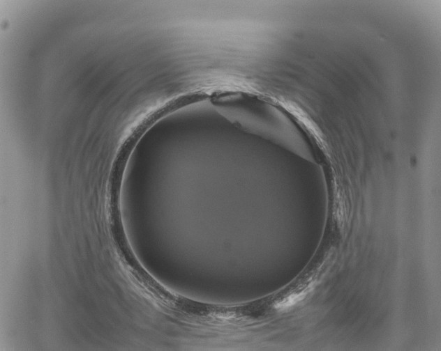 X0000062170391200512121246