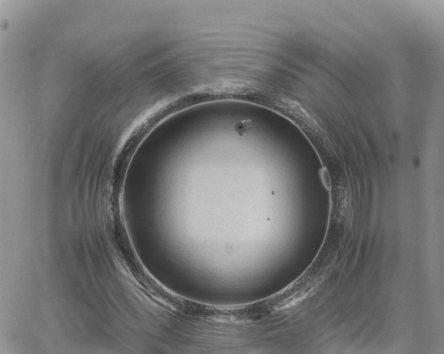 X0000062170392200512121246