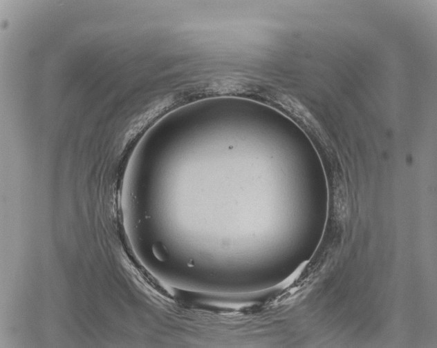 X0000062170393200512121246