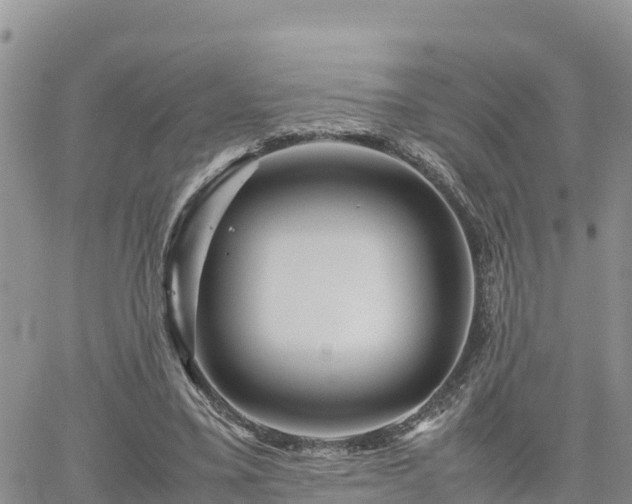 X0000062170395200512121246