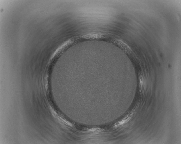 X0000062170396200512121246