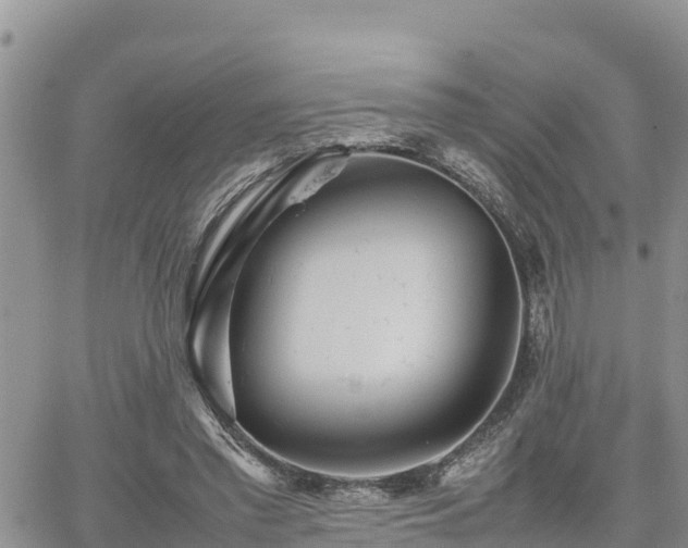 X0000062170397200512121246