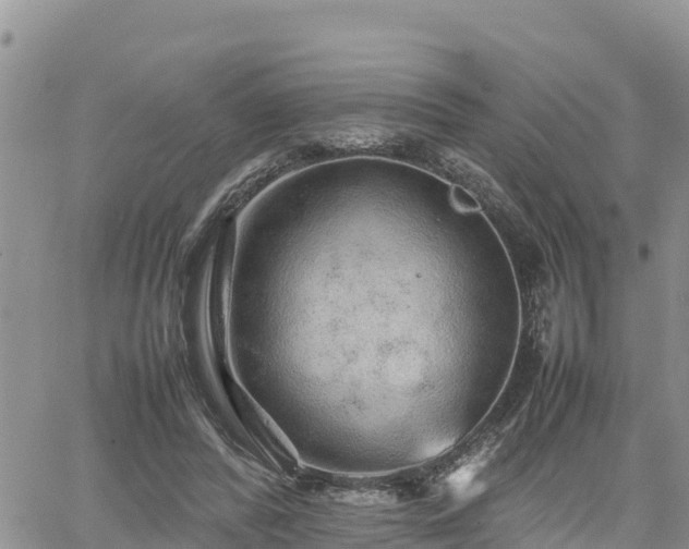 X0000062170400200512121246