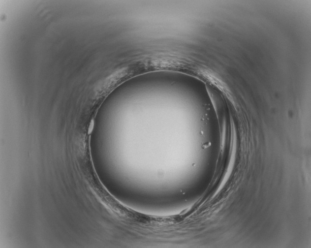 X0000062170401200512121246