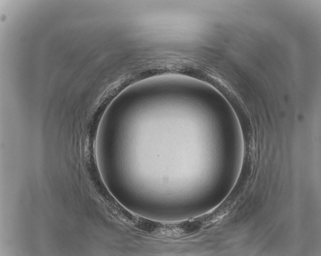 X0000062170403200512121246