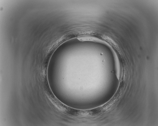 X0000062170405200512121245