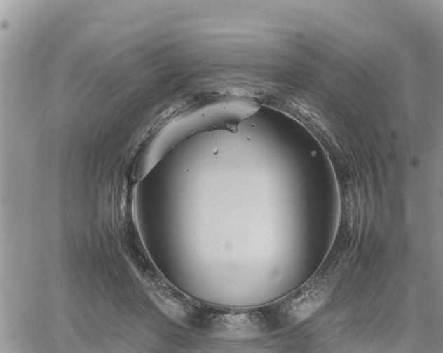 X0000062170406200512121245