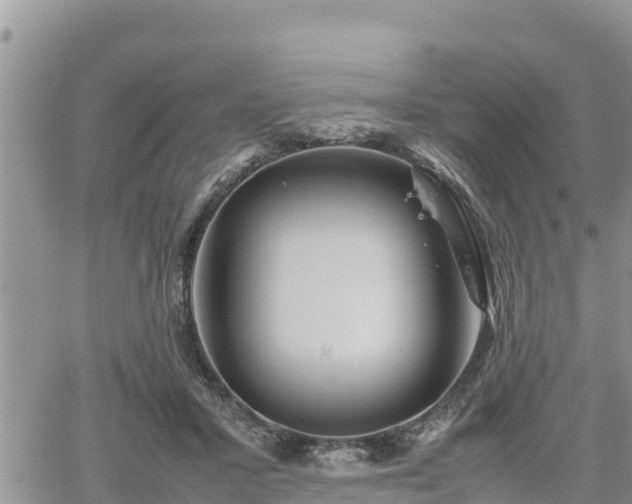 X0000062170407200512121245