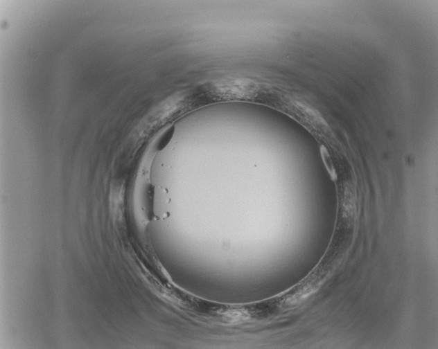 X0000062170409200512121245