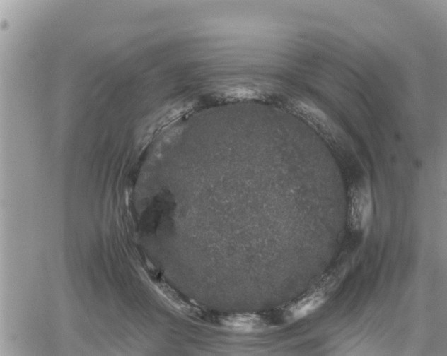 X0000062170410200512121245