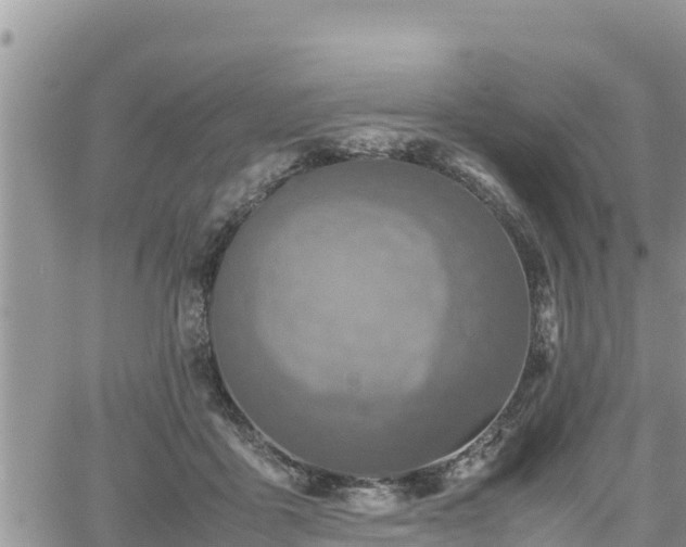 X0000062170411200512121245