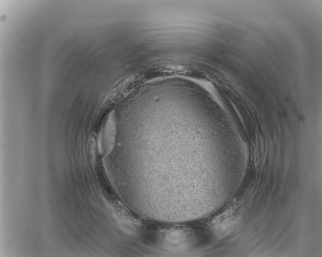 X0000062170412200512121245