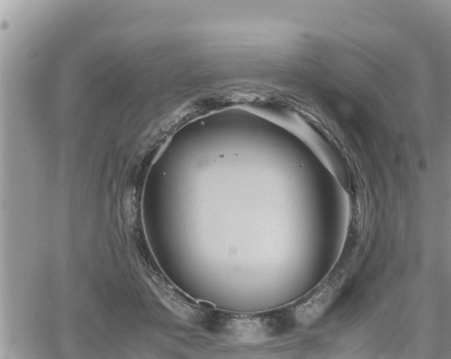 X0000062170413200512121245