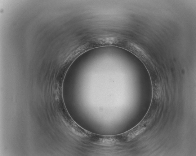 X0000062170414200512121245