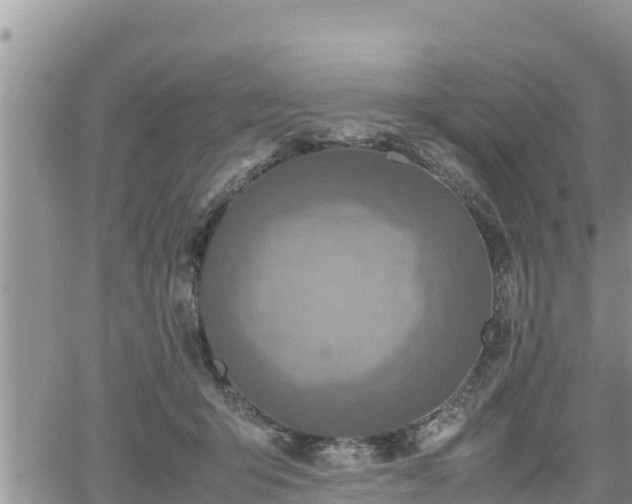 X0000062170415200512121245