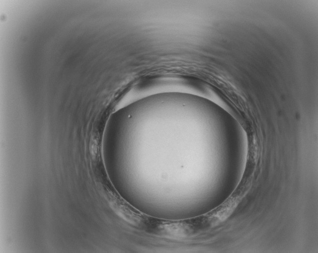 X0000062170417200512121245