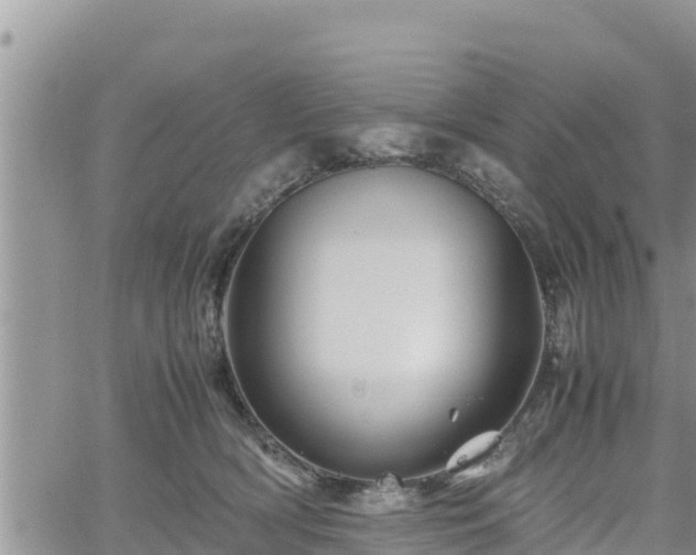 X0000062170418200512121245