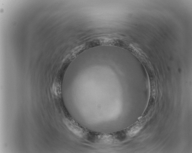 X0000062170419200512121245