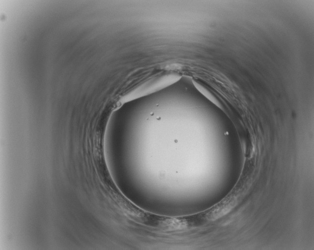 X0000062170421200512121245