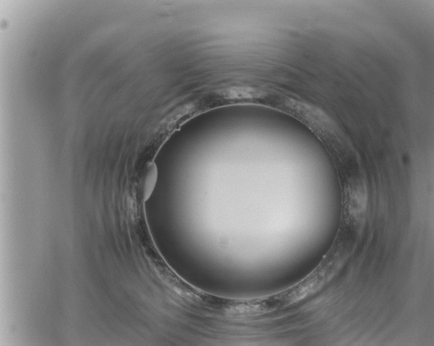 X0000062170422200512121245