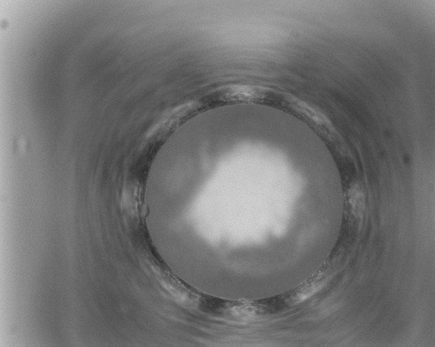 X0000062170423200512121245