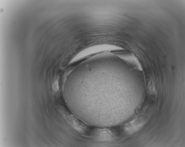 X0000062170424200512121245