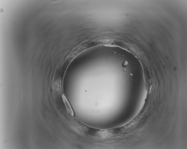 X0000062170425200512121245